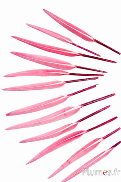 Gans - 5-8 cm - oudroze